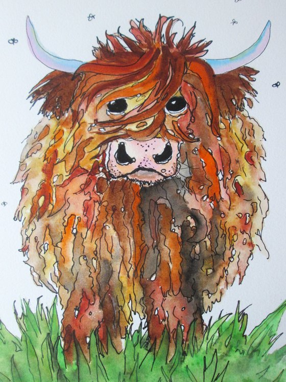 Big Hairy Scottish Highland Cow