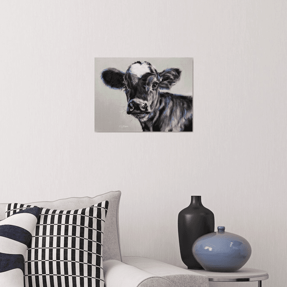 Jack of Hearts Valentine - Black & white cow calf with white heart original oil painting