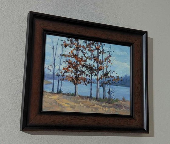 Falls Lake, Winter 01