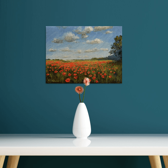 Poppy horizon