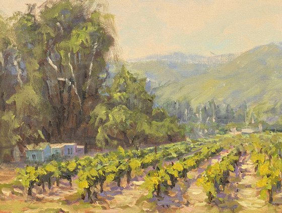 Napa Valley Vineyards View Landscape