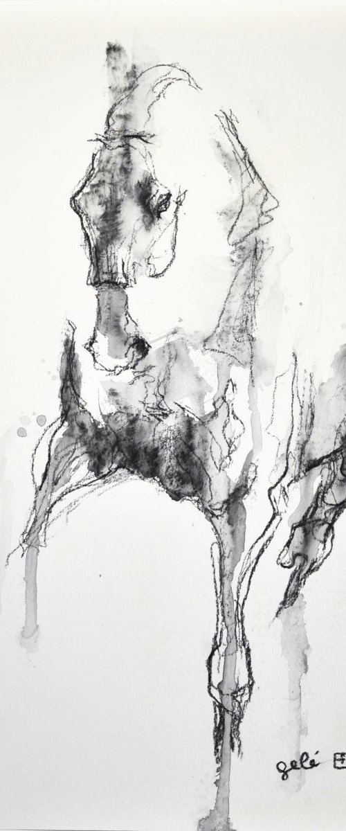 Equine Nude 47t by Benedicte Gele