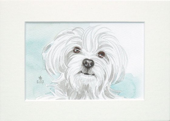 Maltese dog * free shipping *