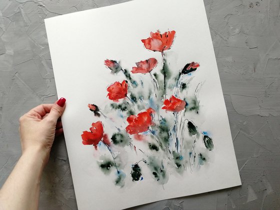 Red poppy painting. Wildflowers