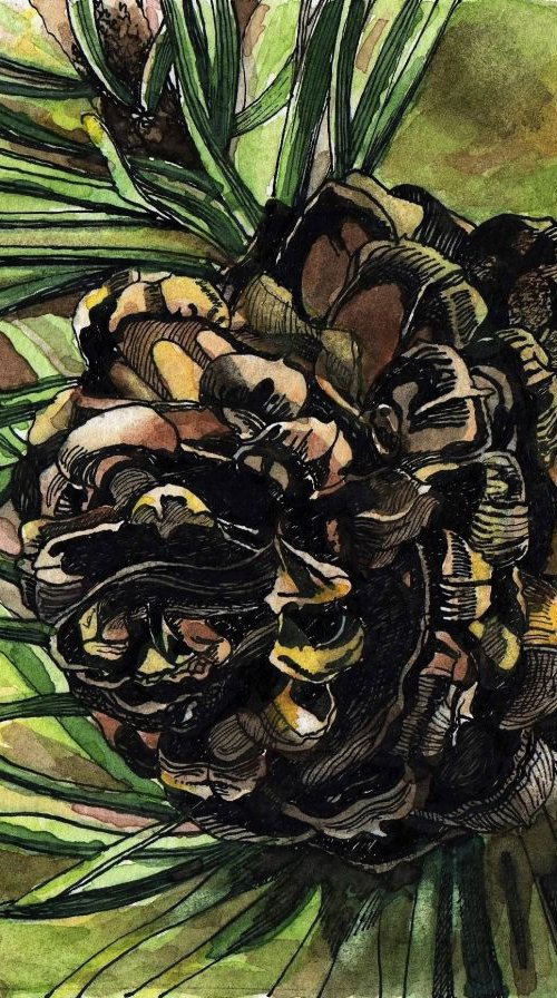 PINE CONE IV by Nives Palmić