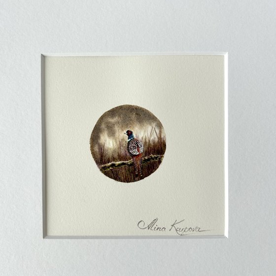 Pheasant miniature
