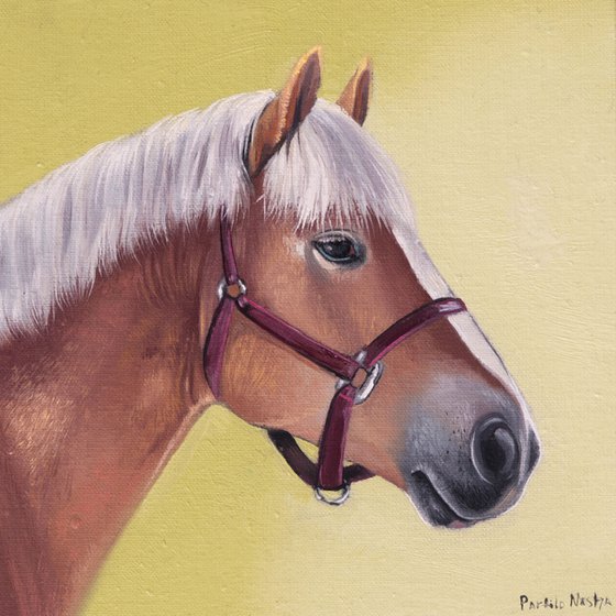 Horse Portrait 27