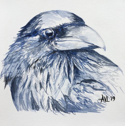 Raven 1 by Abigail Long