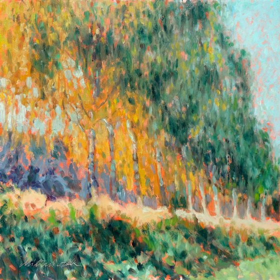 Birches