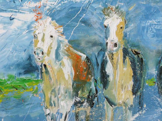 Horse painting - Four horses 100 x 100 cm.