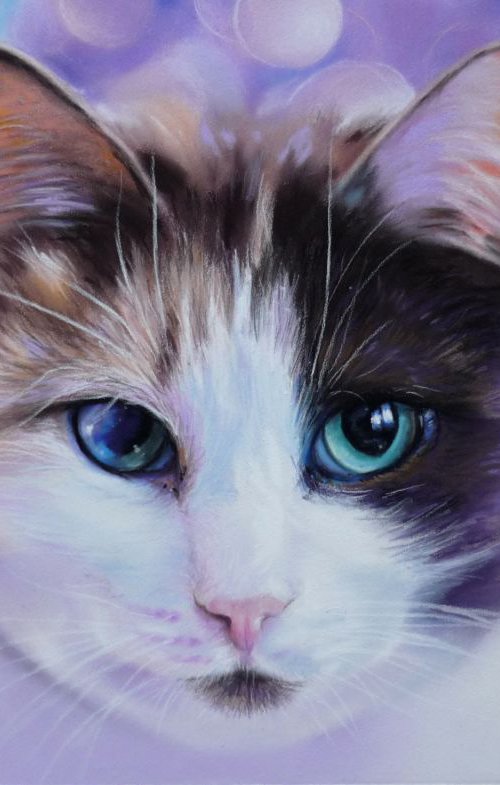 Kitty Byelimosha. Original Pastel Portrait by Elena Bondarenko