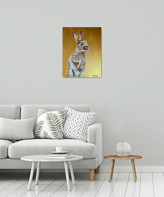 Honey bunny 5