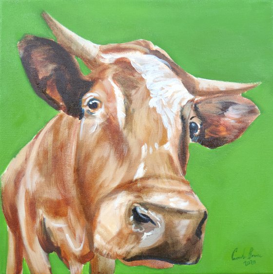 Cow painting