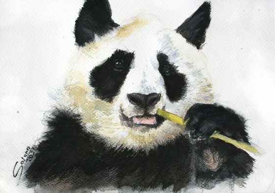 Panda III - Animal portrait /  ORIGINAL PAINTING