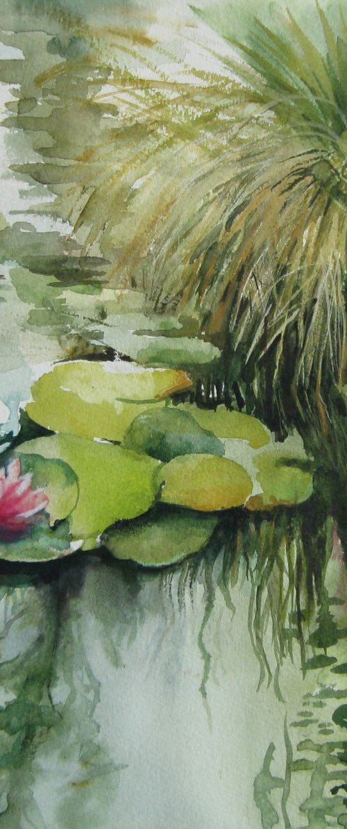 Waterlilies by Elena Oleniuc