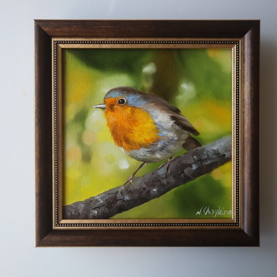 Robin Bird Painting