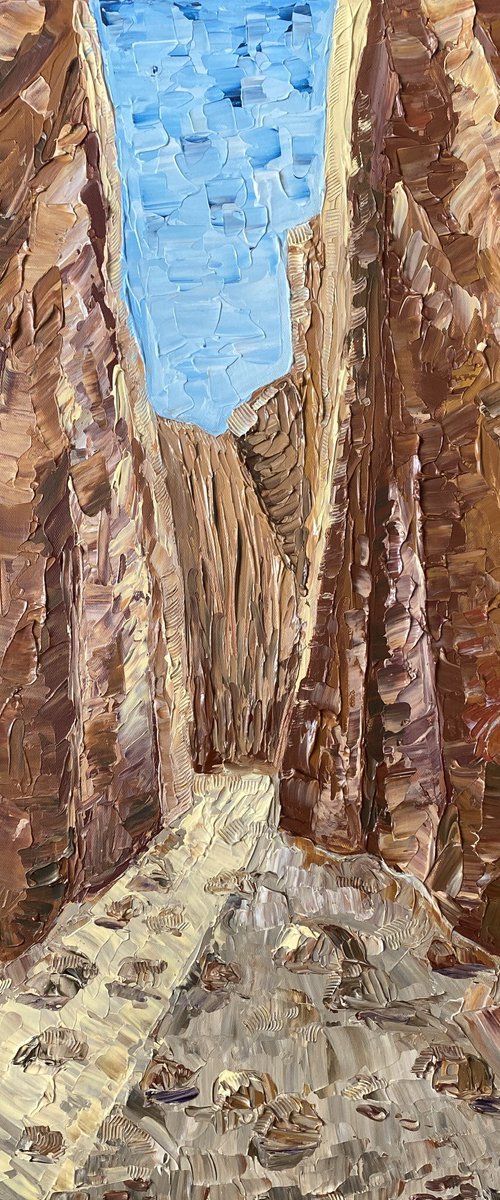 Standley Chasm by Guzaliya Xavier