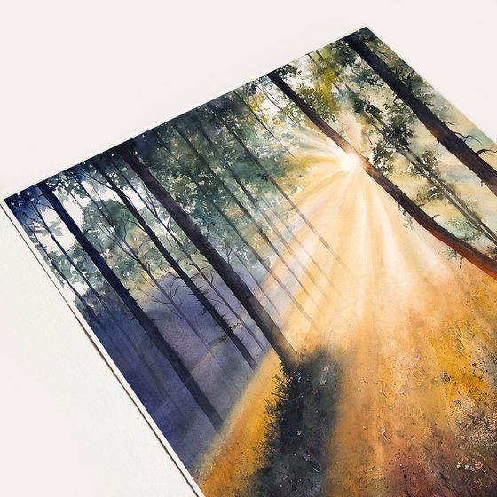 Whispers of Morning Light