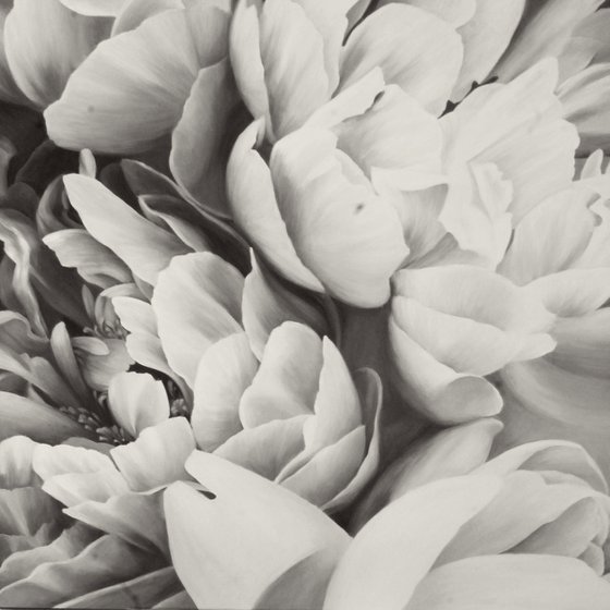 "Peonies bouquet"  White black flower oil art