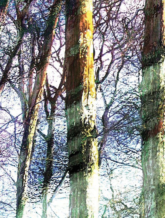 Bosque