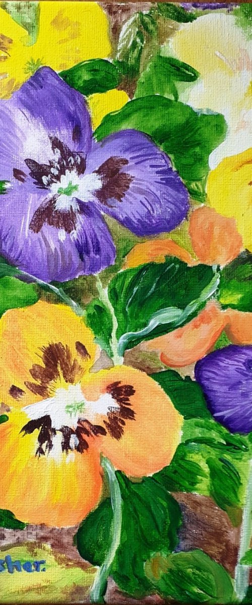 pansies by Sandra Fisher