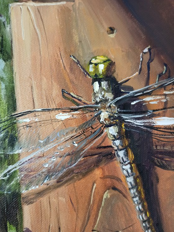 Dragonfly oil painting langscape mini wall decor 10x10''