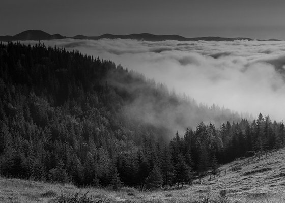 Covered in morning fog. (Multipanel)