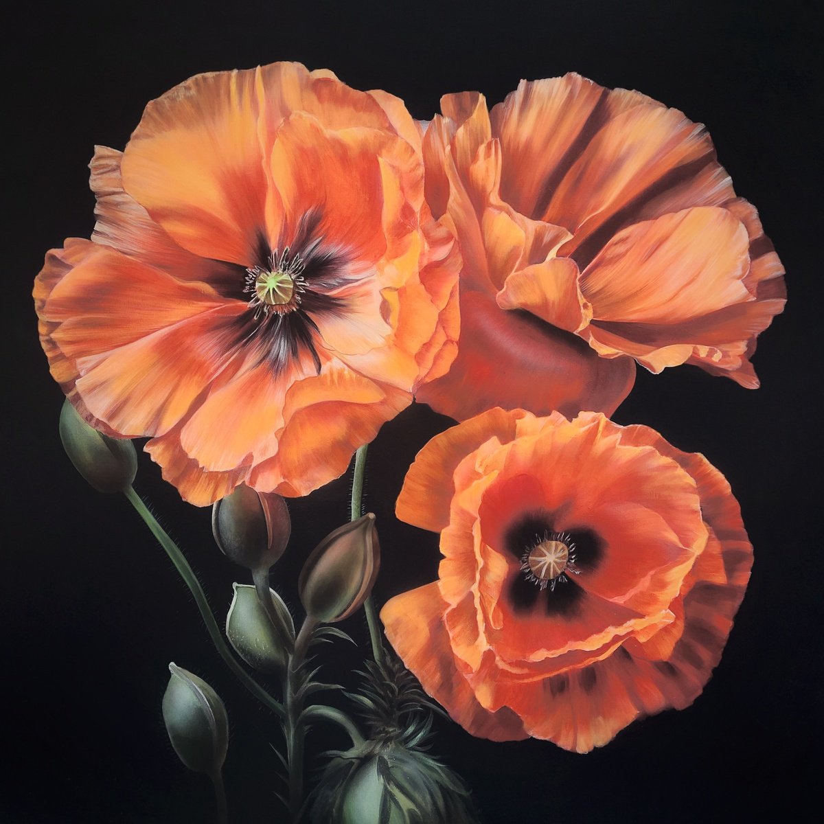 Realism poppies acrylic, Realism painting flowers,  flower art,  painting hyperrealism by Svitlana Brazhnikova
