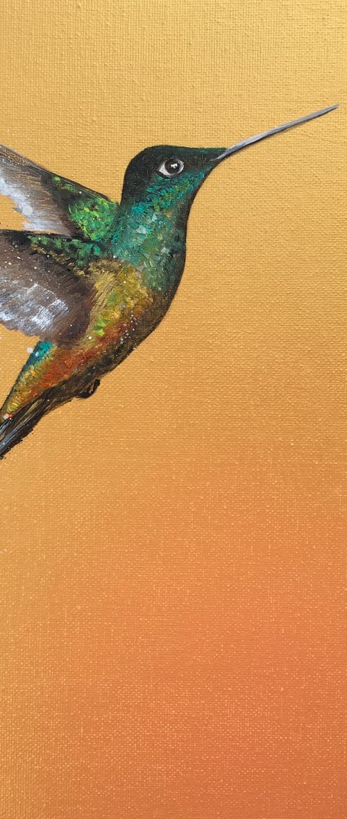 Hummingbird on Gold by Laure Bury