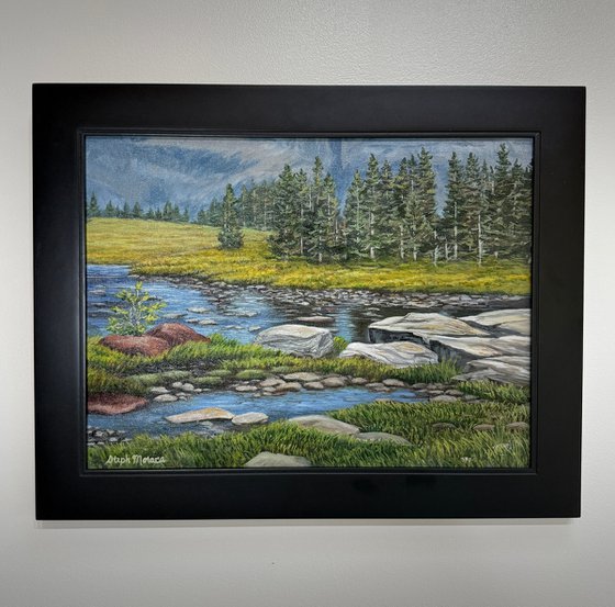 Alpine Pond and Meadow