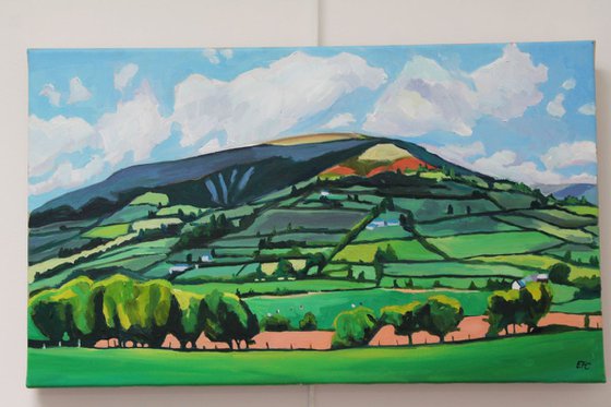 A Patchworked Skirrid