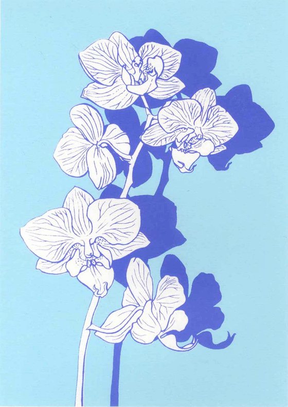 Orchid on Blue
