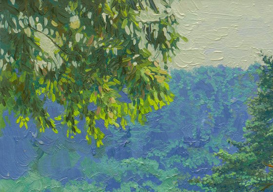 Pine grove