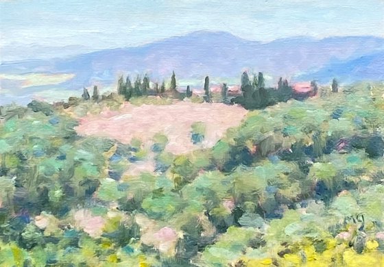 Casole View