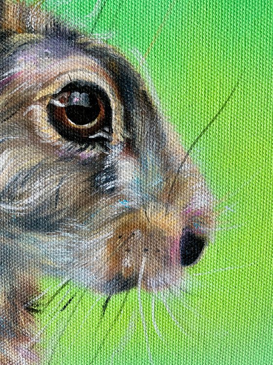 Hare Today, 20 x 20"