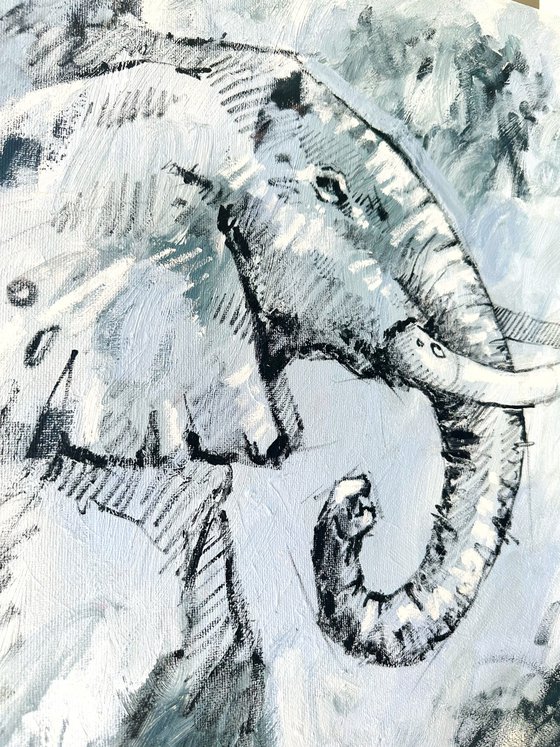 Elephant