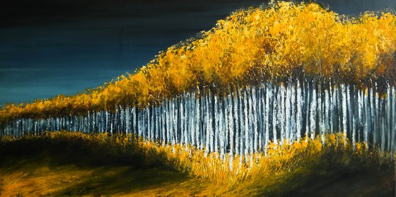 Aspens Lines- Fields and Colors Series-