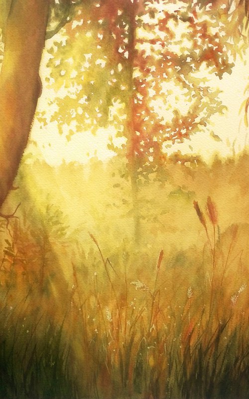 Beautiful Gold Sunlight at Misty Sunrise in the Forest by Olga Beliaeva Watercolour