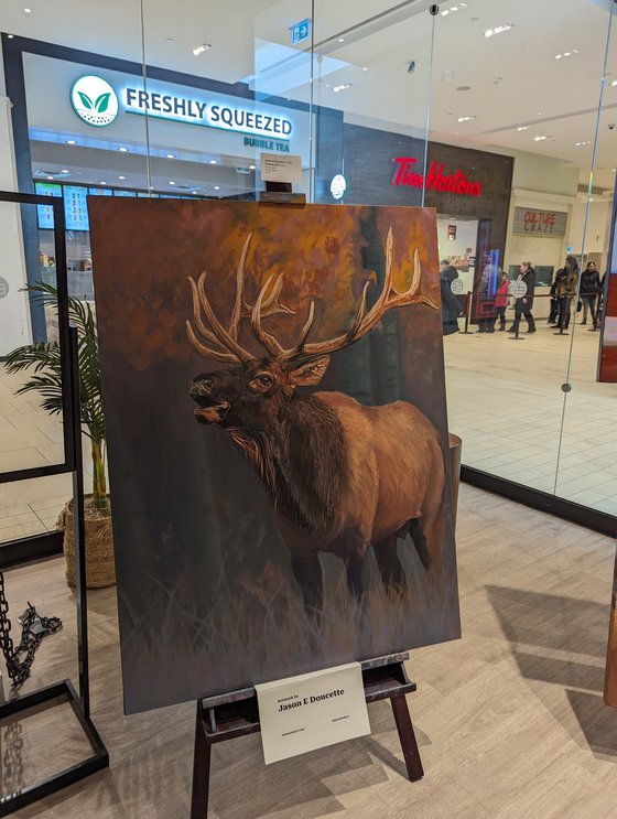 Wapiti Bull Elk