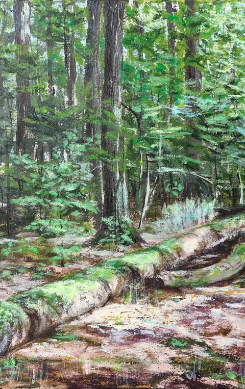 Morshin forest, 60*40 by Dmytro Yeromenko