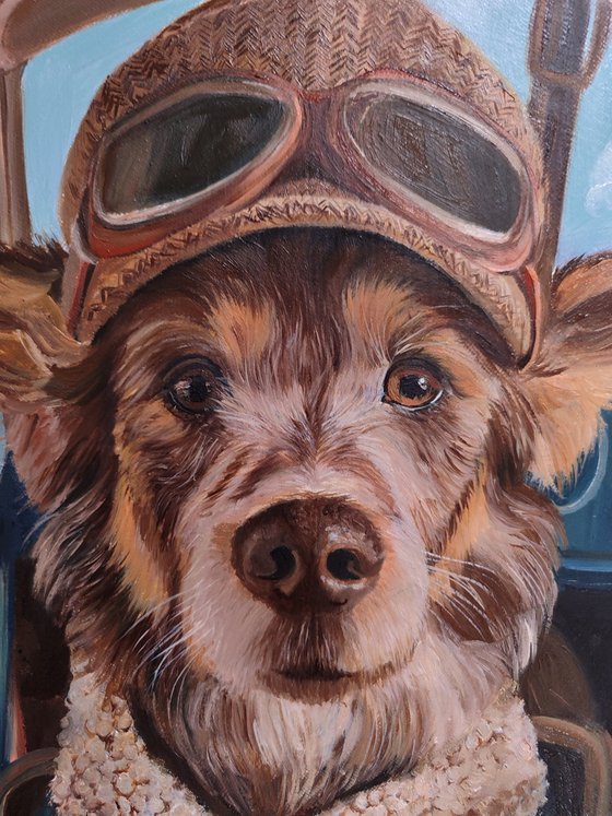 My little friend in flight