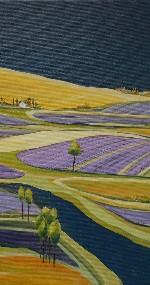 The lavender farm by Aniko Hencz