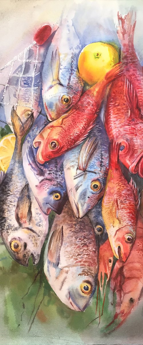 Dorado and perches. Watercolor fish. by Natalia Veyner