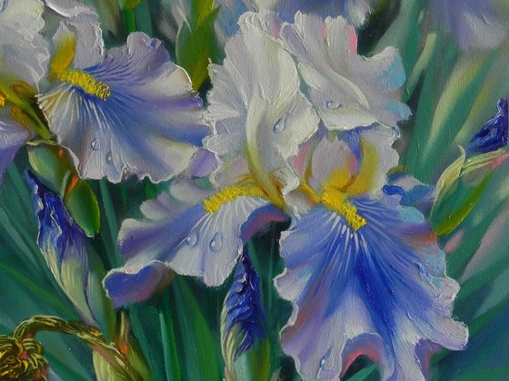 "Irises" Original painting Oil on canvas Home decor