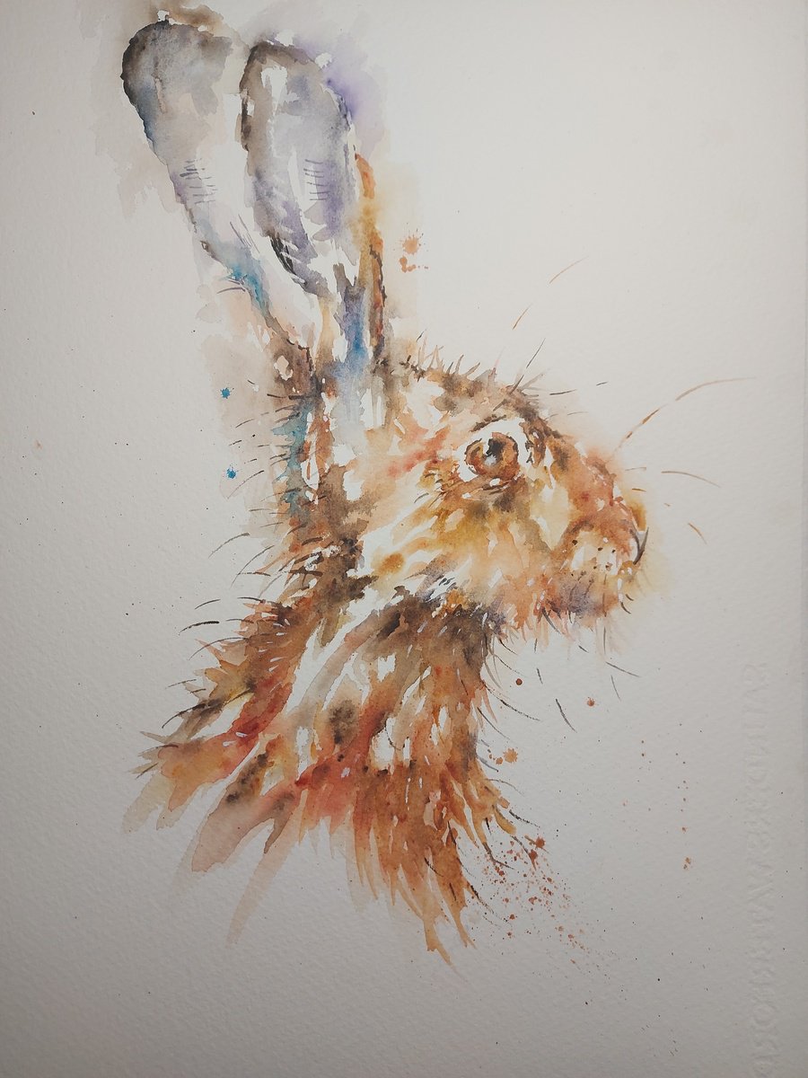 Hare portrait by Sue  Green