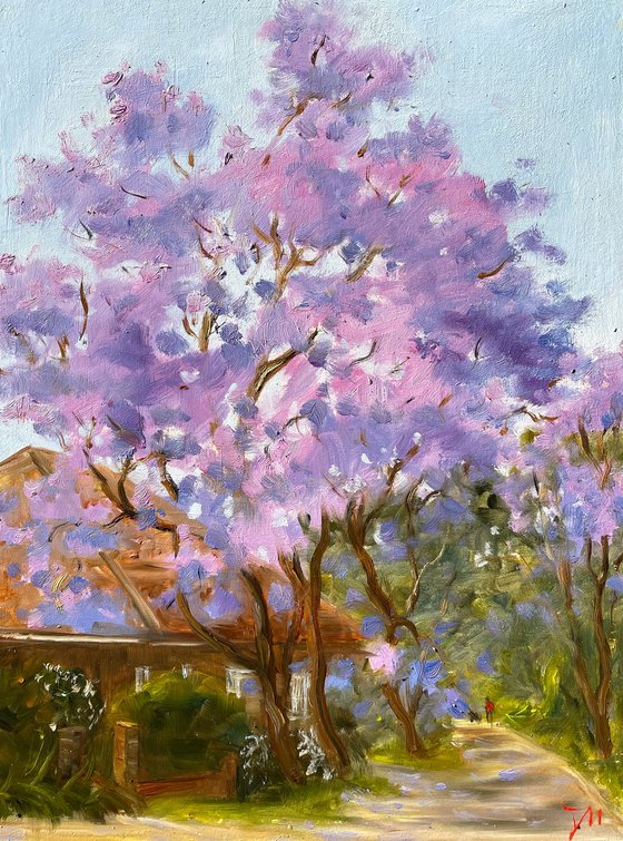 House with Jacaranda