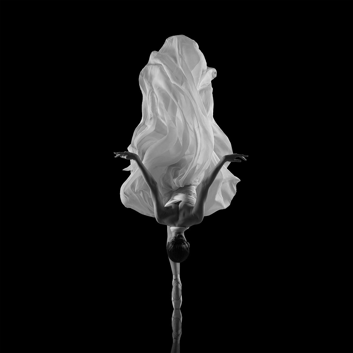 Portrait Photograph By Yevgeniy Repiashenko, 55 X 55", Asphodel, Original Artwork