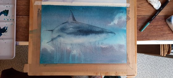 Original Watercolour Shark Painting