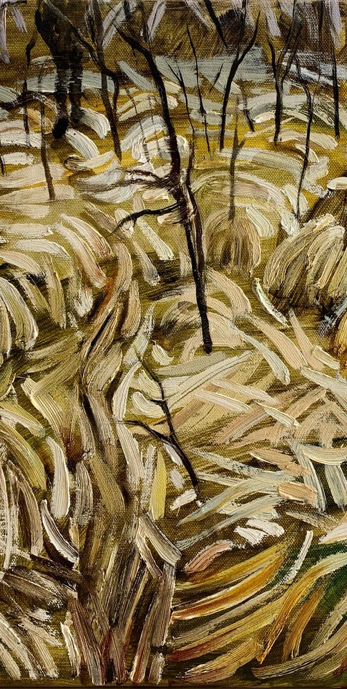 Dry Grasses by Natalia Matveeva