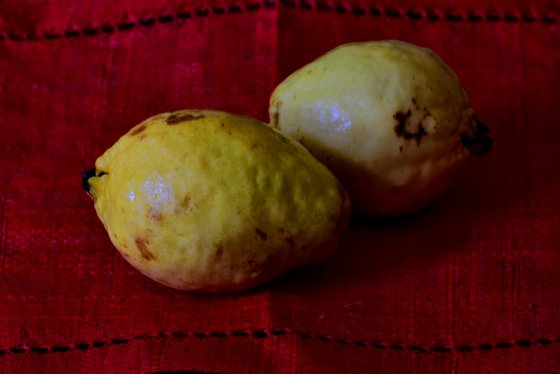 Guavas